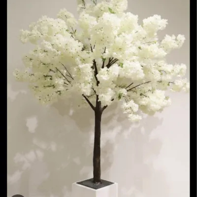 White Blossom Tree – A stunning white blossom tree, perfect for adding elegance and a magical touch to your wedding venue.